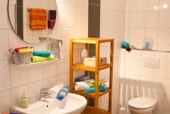 Badezimmer Bachstelze