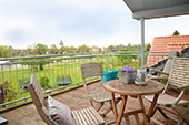 Balkon zaunkoenig